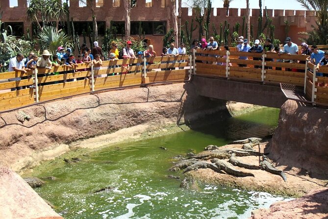 Agadir Crocodile Park Adventure - Visitor Experiences and Feedback