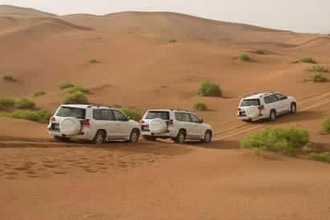 Agadir Day Excursion to Mini Sahara Safari National Park Souss Massa by 4x4 - Visiting Tiznit