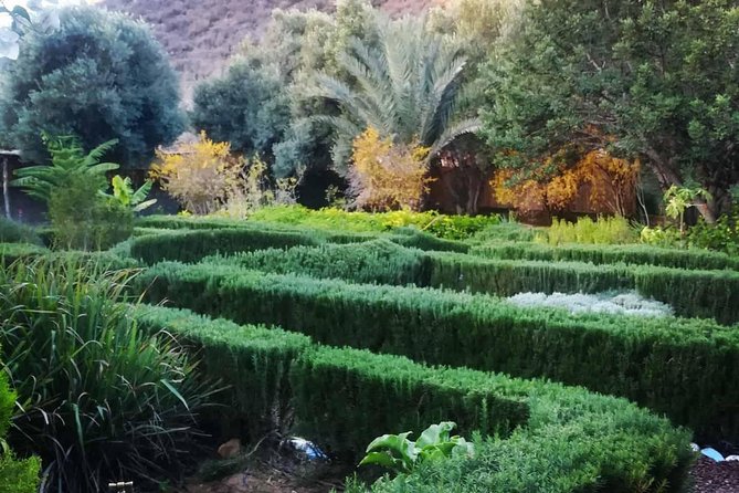 Agadir Day Trip To Paradise Valley - Customer Feedback and Experiences