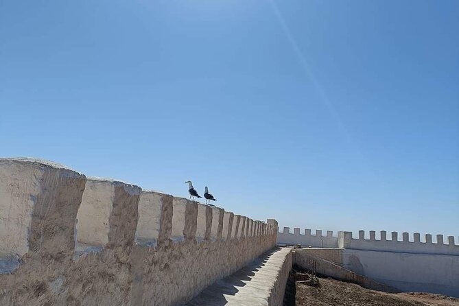 Agadir Private City Tour & Visit of Medina Polizzi - Cancellation Policy