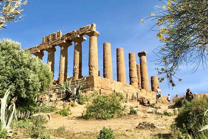 AGRIGENTO Valley of Temples Private Tour From Palermo With Guide Driver - Safety and Restrictions