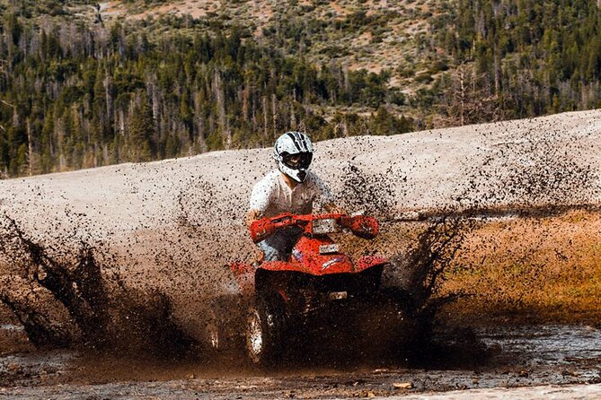 Alanya Quad Safari Adventure With Free Hotel Transfer - Customer Reviews
