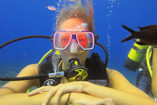 Alanya: Scuba Diving Experience for Beginners - Preparing for the Dive