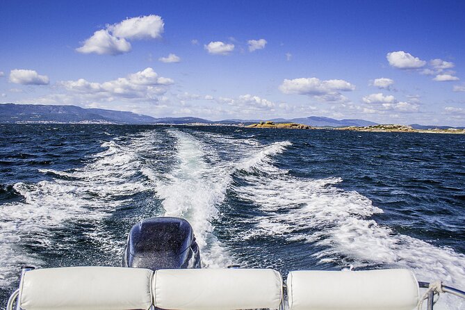 Albariño Private Wine Tour in Rias Baixas Review - Booking and Logistics