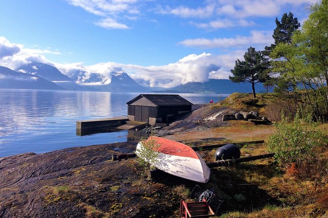 Alesund Sightseeing Tour Review: A Perfect Adventure - Positive Traveler Experiences