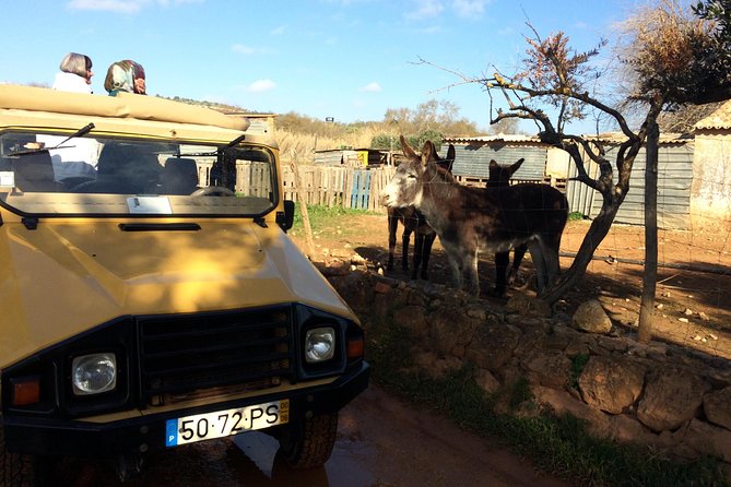 Algarve Jeep Safari - Half Day Trip Morning - Traveler Reviews and Feedback