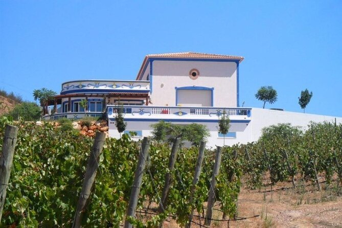 Algarve Wine Tour and Farmers Lunch at Wine Estate - Discovering Local Wines