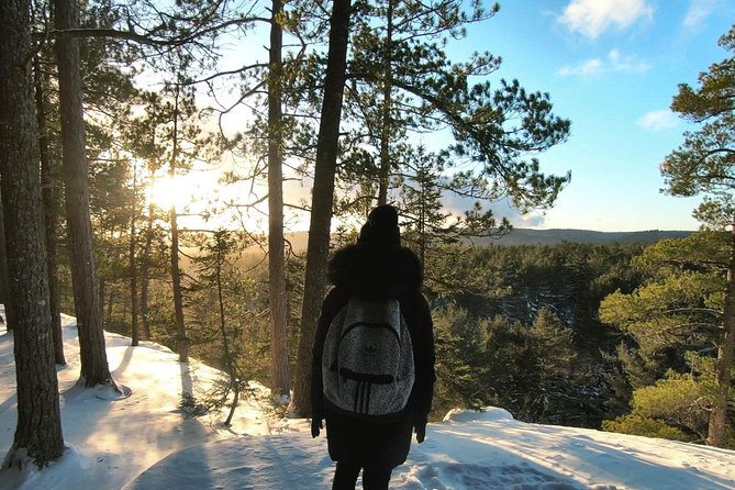 Algonquin Park Winter Adventure - What to Expect
