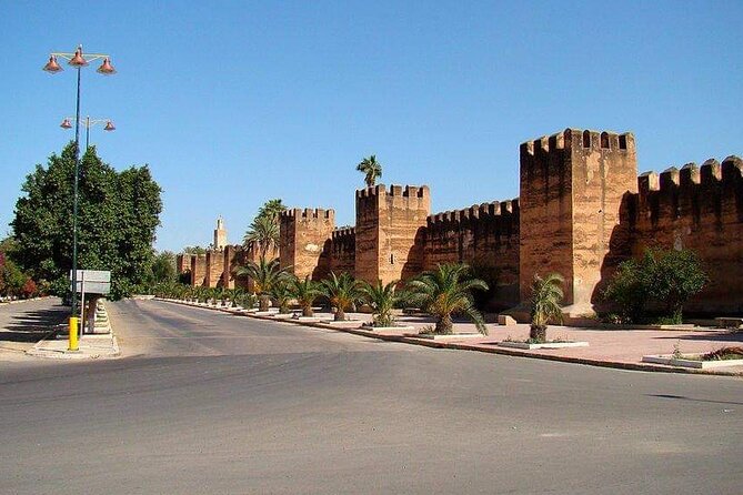 Ali Baba Oasis And The Old Medina Of Taroudant Private Day Tour - Traveler Reviews and Feedback