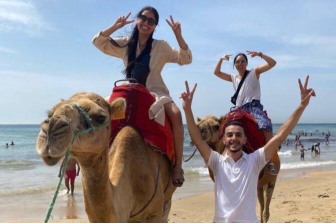 All-Inclusive Day Trip From Tarifa to Tangier - Cultural Immersion and Cuisine