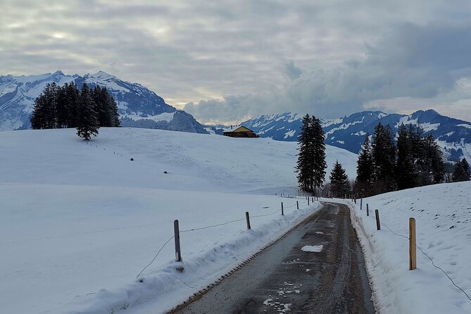 All Inclusive Rhine Falls and Appenzell Private Day Tour From Zurich - Review Roundup