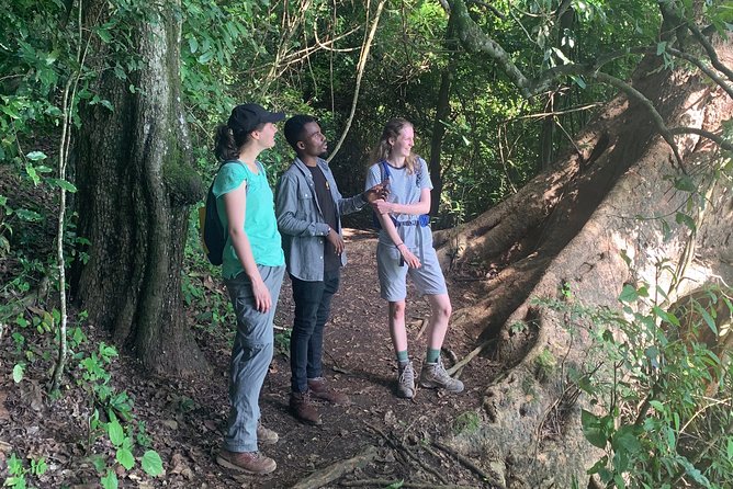 Amazing Lake Duluti Day Trip Experience - Pricing and Cancellation Policy