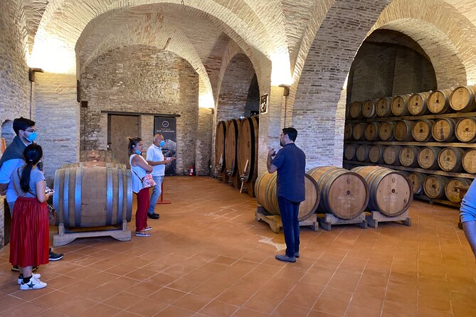Among Ancient Sunny Vineyards, Visit and Taste the Wines From the San Lorenzo Cellar - Wine Tasting Menu