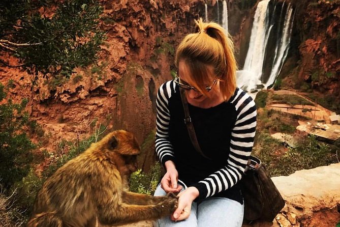 An Unforgettable Ouzoud Waterfall Day Trip From Marrakech - Insights From the Local Guide