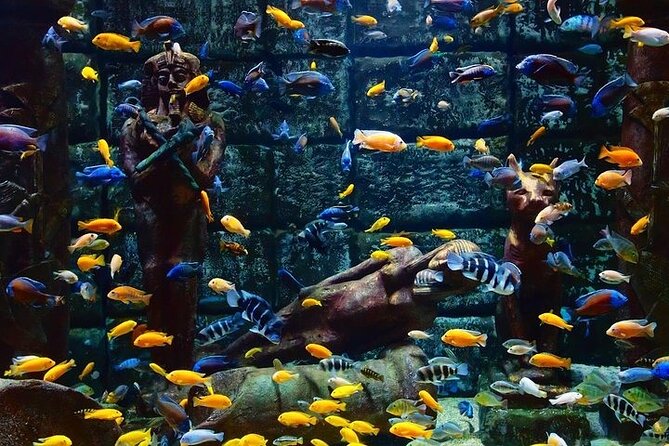 Aquarium and Face to Face Wax Museum in Antalya - Booking and Reservation Details