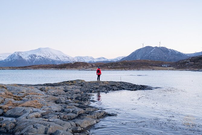Arctic Roadtrip: Fjords With Scenic Picnic | Small Group 4x4 Van - Exploring the Fjords