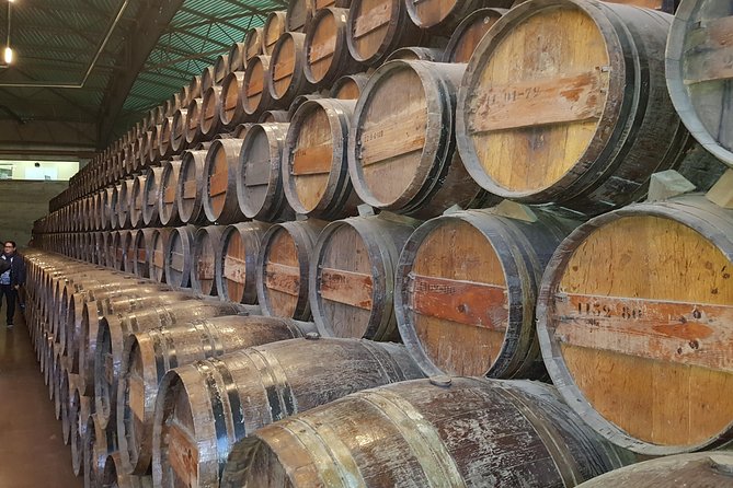 Arrábida Culture, Wine and Gastronomic Experience - Scenic Serra Da Arrábida Vistas