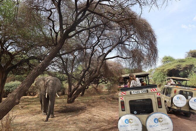 Arusha: 5 Days Safari Trip Tarangire, Lake Manyara and Ngorongoro - Inclusions and Exclusions