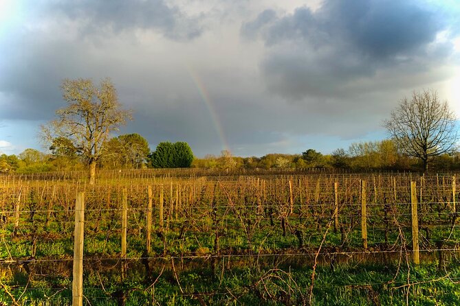 Assemble Your Own Wine Cuvée in the Vineyard - Pricing and Cancellation Policy