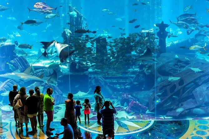 Atlantis Lost-Chamber Aquarium Dubai - Tips for Visiting the Aquarium