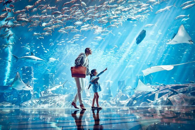 Atlantis Lost Chamber Aquarium - Frequently Asked Questions