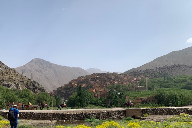 Atlas Mountain Day Trip From Marrakech - Customer Reviews and Ratings