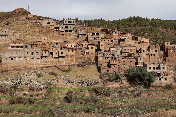 Atlas Mountains and Camel Ride Day Trip, From Marrakech - Camel Ride Experience