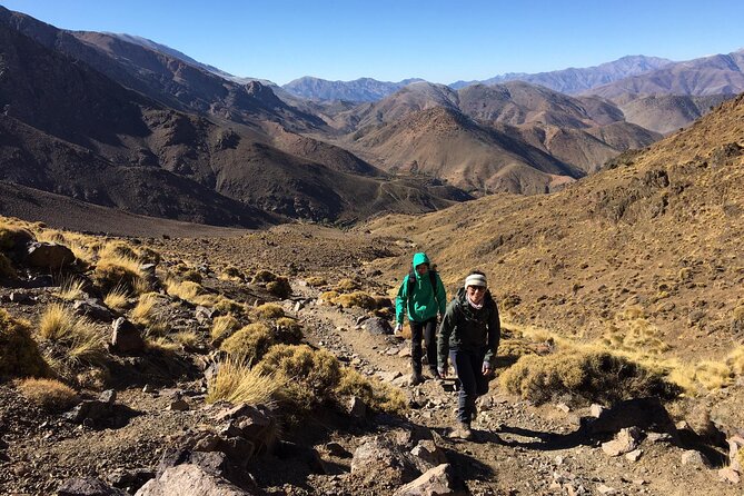 Atlas Mountains Day Trek - Reviews and Traveler Feedback
