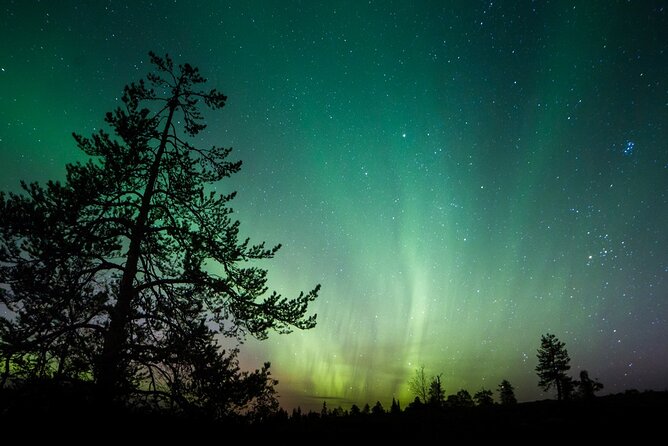 Aurora Borealis Quest: Private Yukon Nighttime Tour - Booking Confirmation