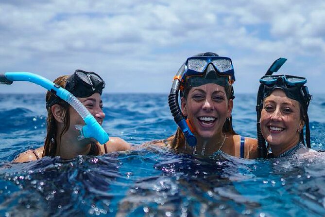 Austin Wellness Yacht Charter Experience on Lake Travis - Activities and Recreation Options