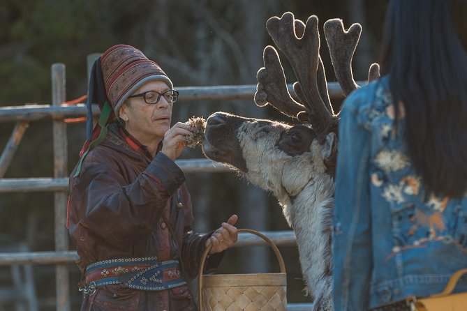 Autumn Delight - Visit to Husky, Reindeer and Santa Claus in Rovaniemi - Ask Away