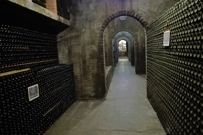 Bairrada Winery Route Experience, Full-Day From Coimbra - Meeting Point and Duration