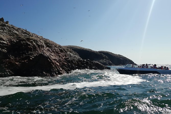 Ballestas Islands, Paracas Reserve & Skulls Museum Private Tour - Paracas National Reserve Exploration