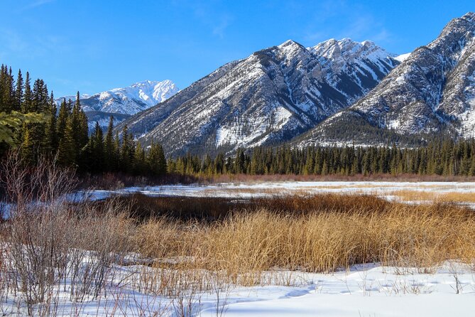 Banff Cave & Hot Springs Self-Guided Walking Tour (Not a Ticket) - Navigating the Tour