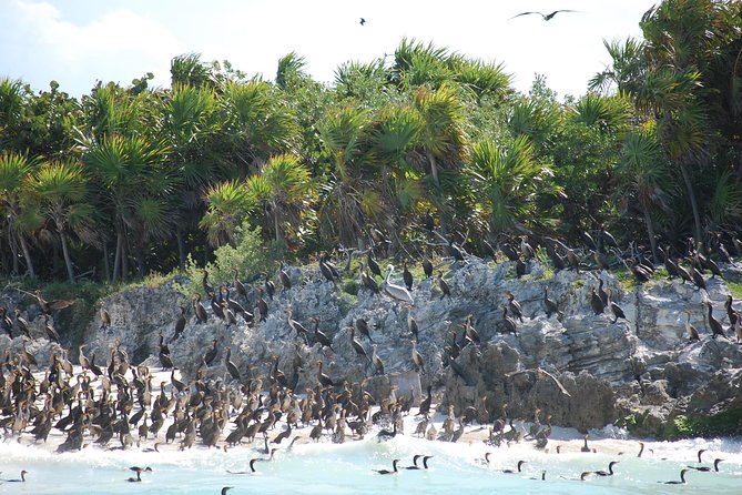 Beach Escape: Isla Contoy and Isla Mujeres With Snorkeling. - Ecological Tax and Restrictions