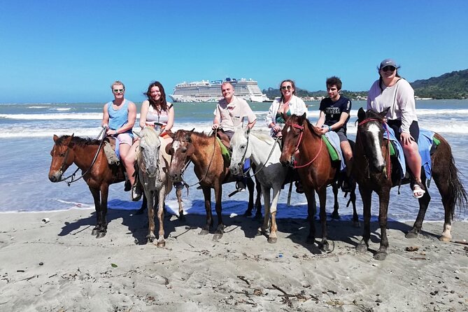 Beach Horse Ride and Countryside Amber Cove & Taino Bay - Health and Safety Considerations