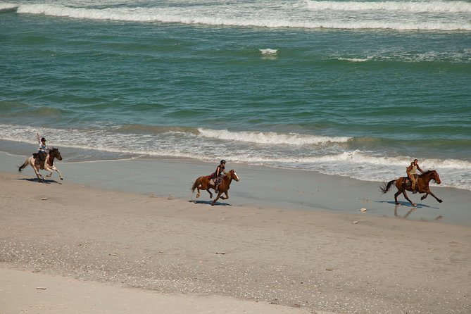 Beach Ride - Stanford - Experiencing the Beach Ride