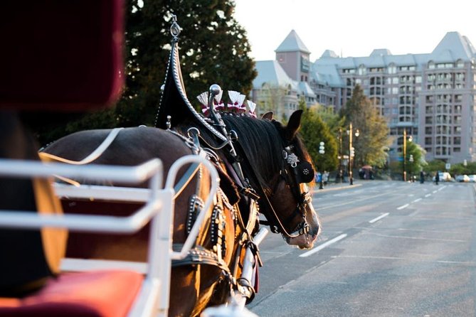 Beacon Hill Park Horse-Drawn Carriage Experience in Victoria - Tips for Visitors
