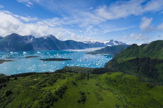 Bear Glacier Scenic Flight - Booking Your Bear Glacier Adventure