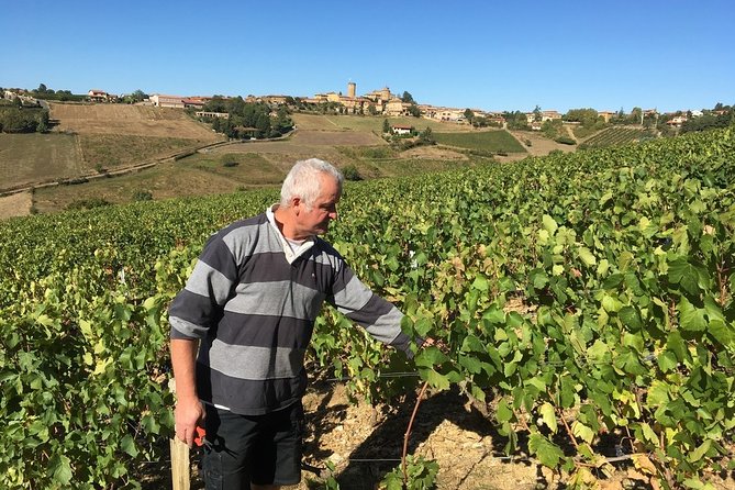 Beaujolais Wine Discovery - Private Tour - Half Day - Wine Tasting Experience