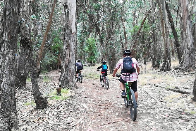 Beginner or Intermediate Mountain Bike Tour of Santa Barbara - Tour Inclusions