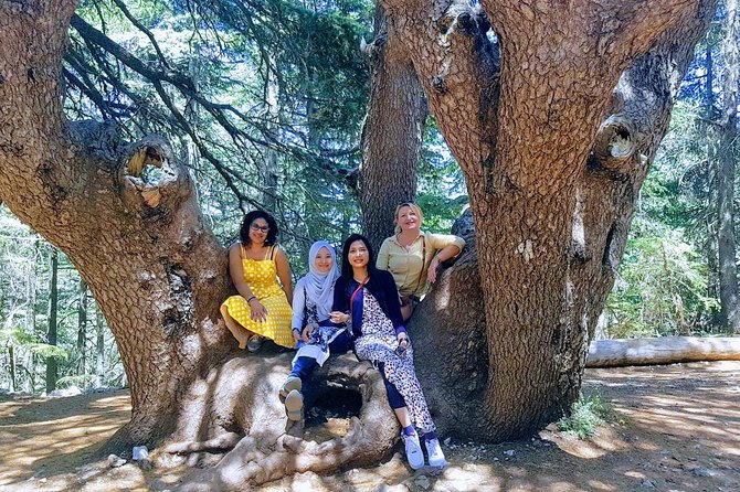 Beirut to Qadisha Valley, Bcharri & Cedar: Daily Tours With Lunch - How to Book the Tour