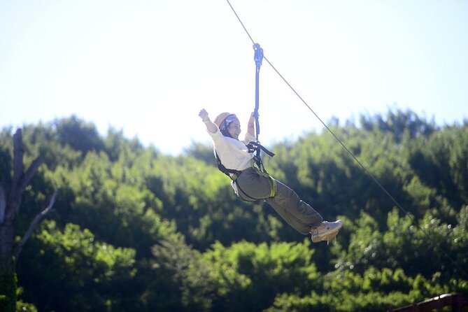 Belgrade Forest Discovery by ATV and Zipline With Transfer - Whats Included
