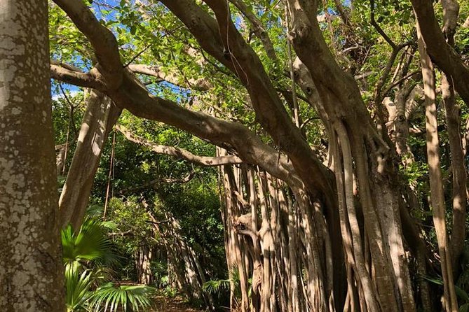 Bermuda Railway Trail and Off The Beaten Path Walking Experience - Highlights of the Trail