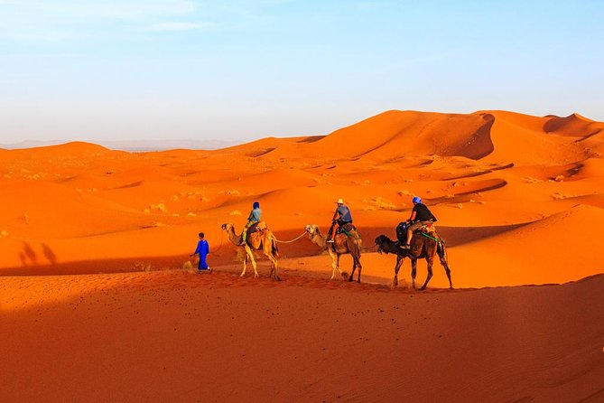 Best of Moroccan Sahara: 5-Day Guided Tour From Marrakech - Important Tour Information