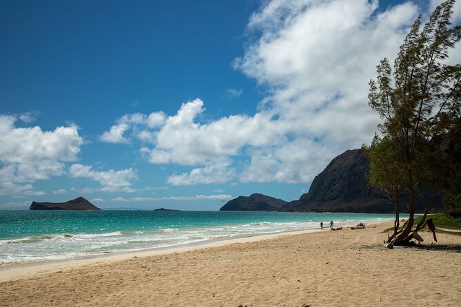 Best Of Oahu: Grand Circle Island Small Group Tour From Waikiki - What to Expect
