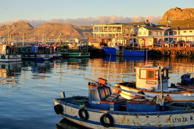 Best of the Cape Peninsula Private Tour - Reviews and Testimonials