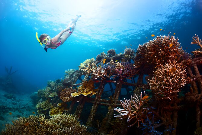 Best Snorkeling Activity in Blue Lagoon Beach Bali - Tips for an Enjoyable Experience