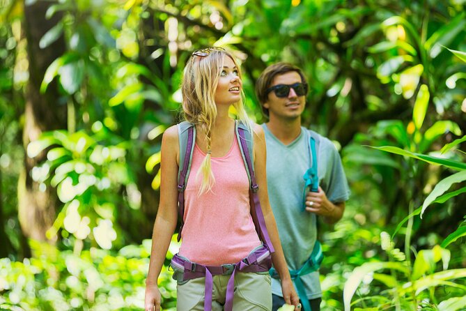 Big Island Waterfall Hiking With Hilo Cruise Ship Pickup - Adventurous Itinerary