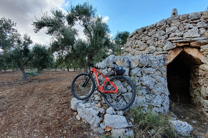 Bike Tour in the Alta Murgia National Park (Pulo of Altamura) - Discovering the Pulo of Altamura